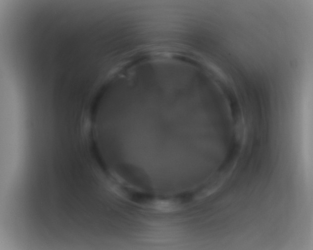 X0000114390314200910231022