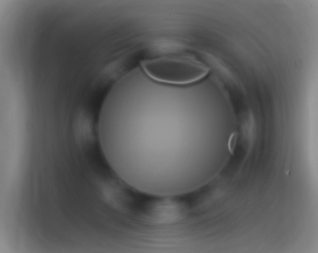 X0000114390316200910231022