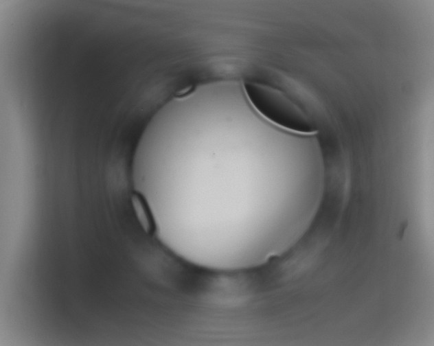 X0000114390317200910231022