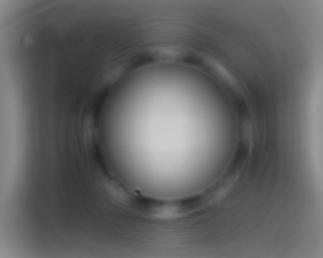 X0000114390318200910231022