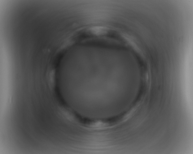 X0000114390319200910231022