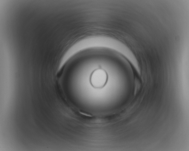 X0000114390320200910231022