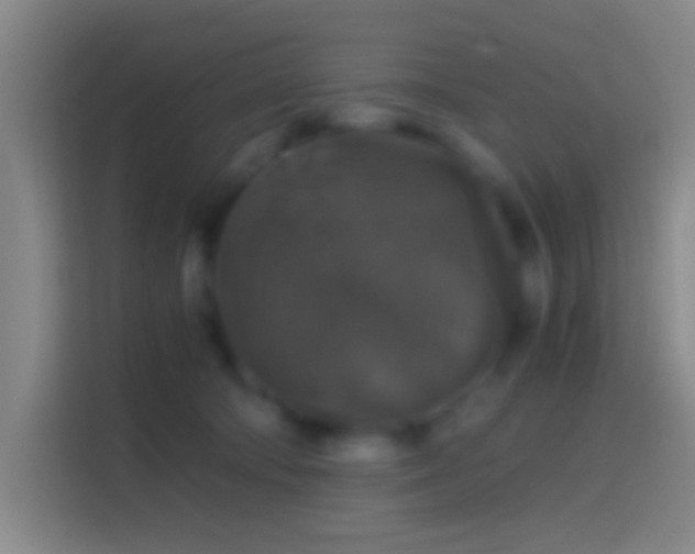 X0000114390322200910231022
