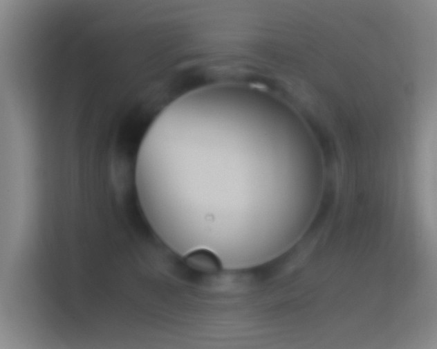 X0000114390323200910231022