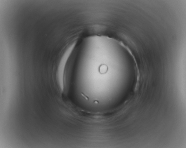 X0000114390324200910231022