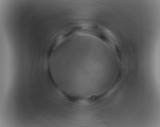 X0000114390325200910231022