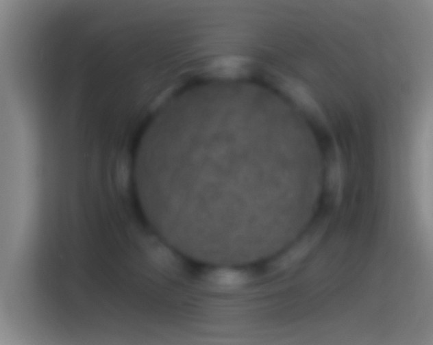 X0000114390326200910231022