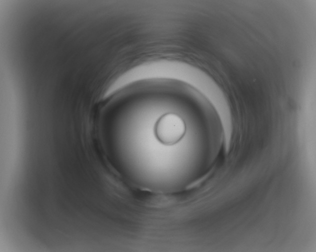X0000114390328200910231022