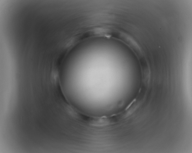 X0000114390329200910231021