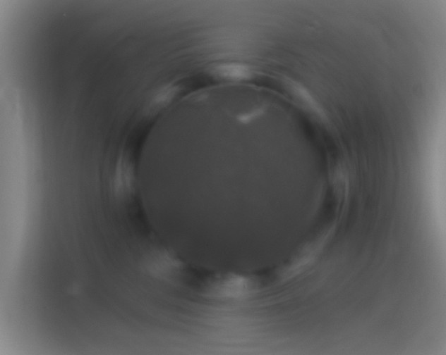 X0000114390330200910231021