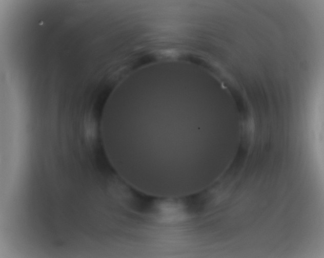 X0000114390331200910231021