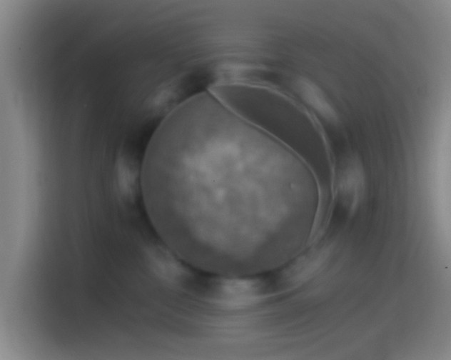 X0000114390332200910231021