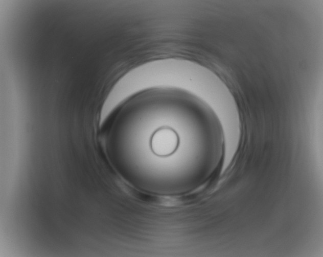 X0000114390333200910231021