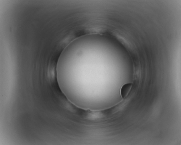 X0000114390334200910231021