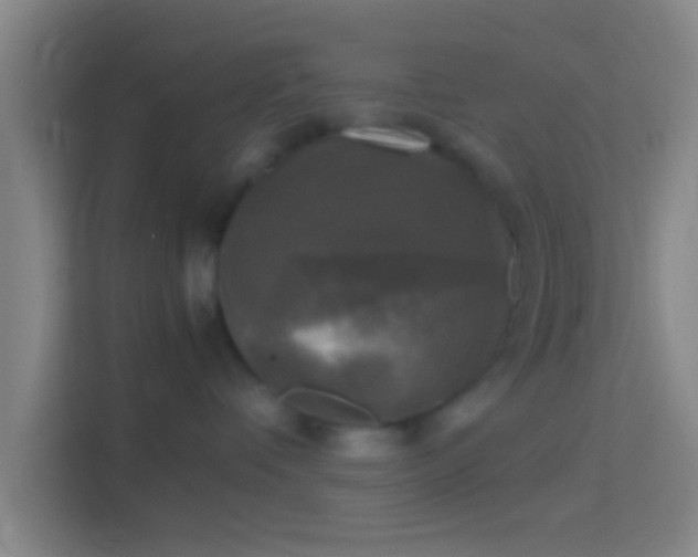 X0000114390336200910231021