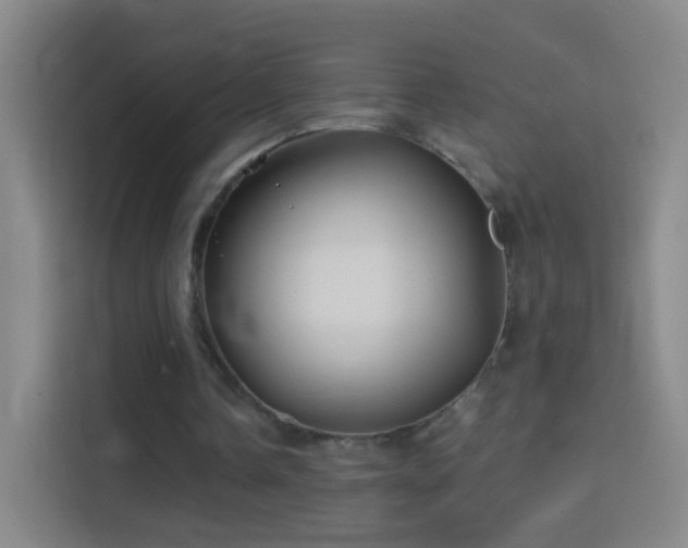 X0000114390338200910231021
