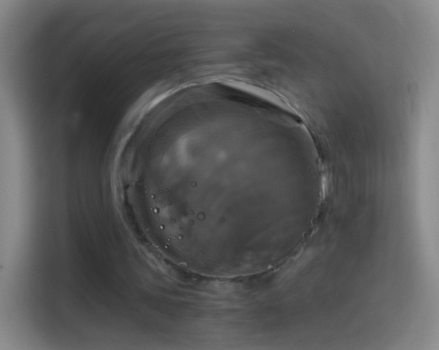 X0000114390339200910231021
