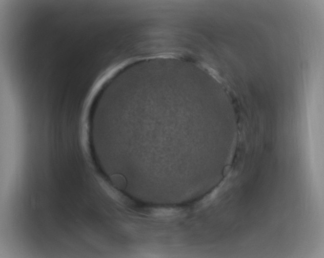 X0000114390342200910231021