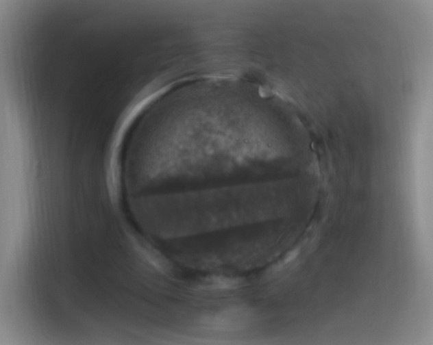 X0000114390343200910231021