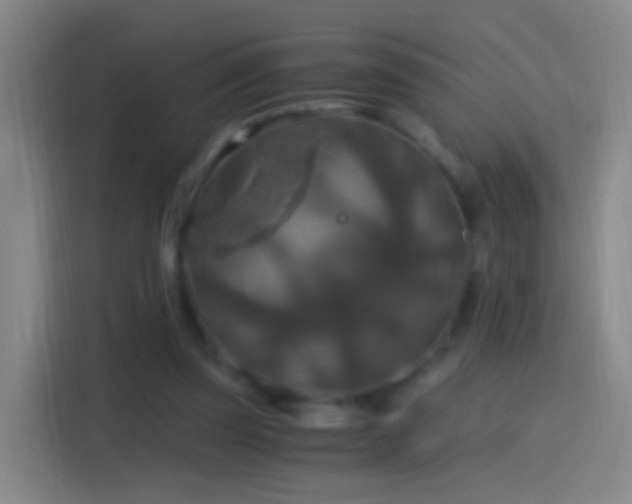 X0000114390347200910231021