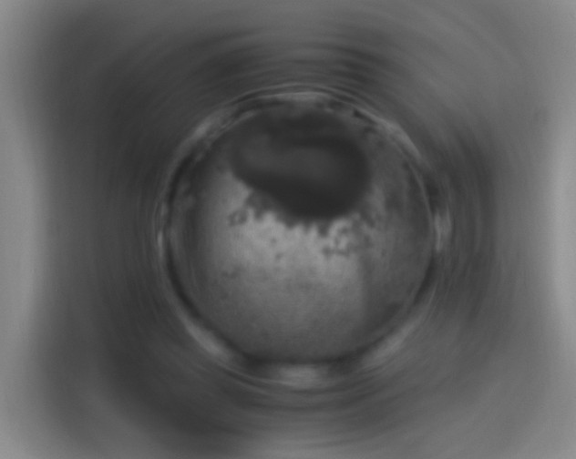 X0000114390349200910231021