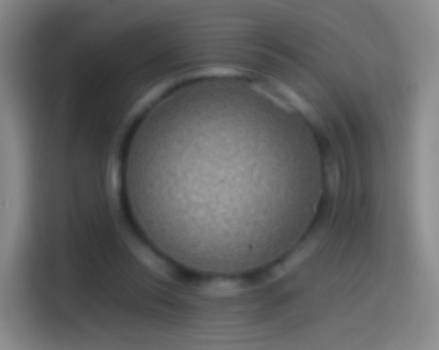 X0000114390350200910231021