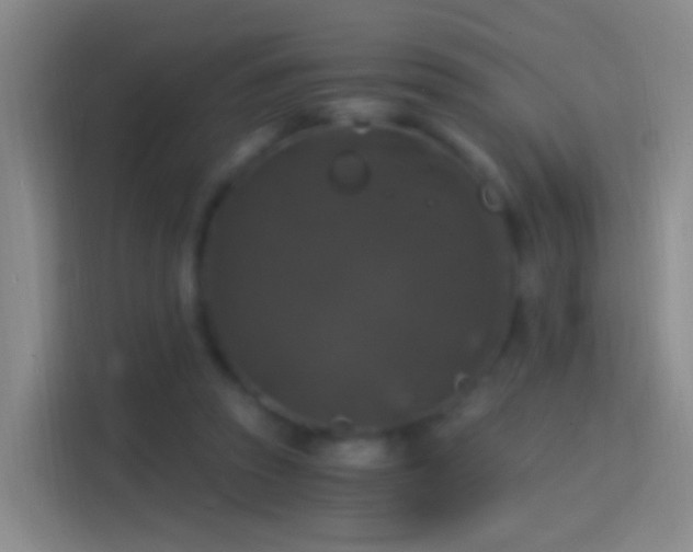 X0000114390353200910231021