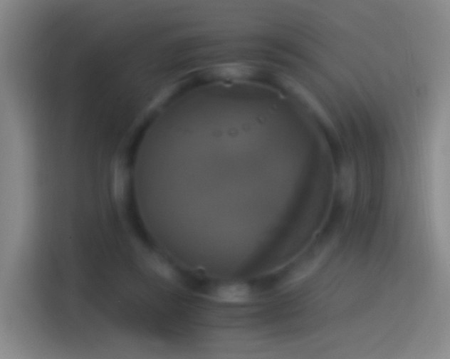 X0000114390355200910231021