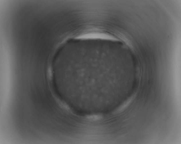 X0000114390358200910231021