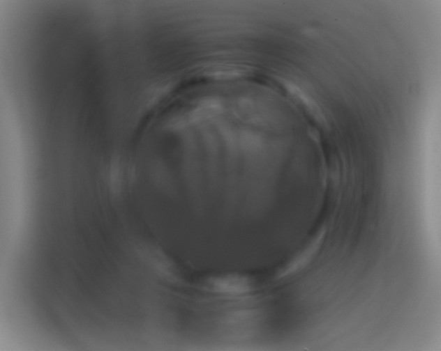 X0000114390359200910231021