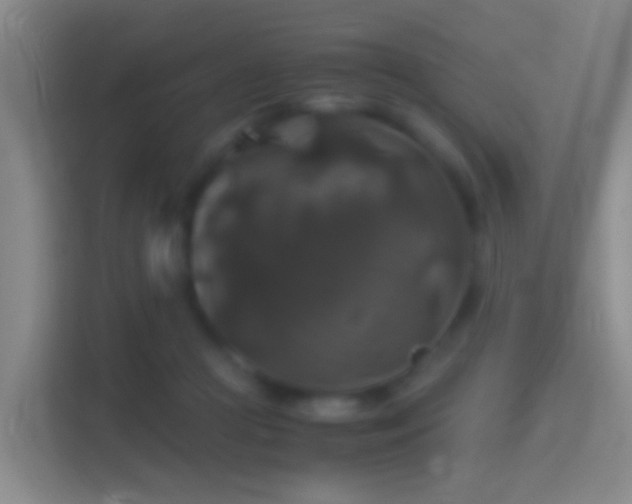 X0000114390361200910231021