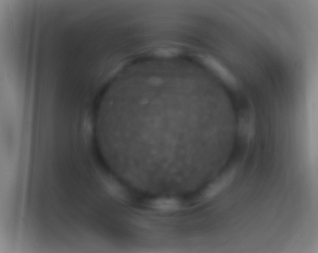 X0000114390363200910231021