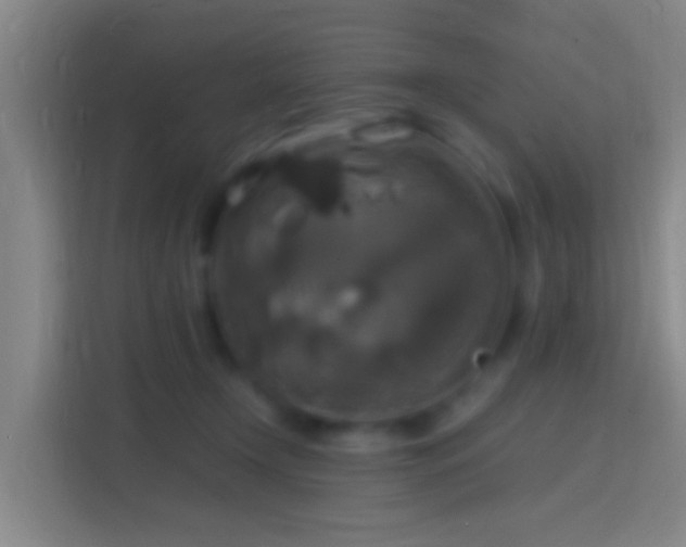 X0000114390366200910231021