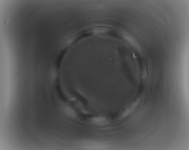 X0000114390367200910231021