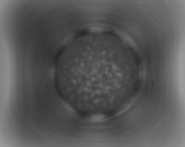 X0000114390369200910231021