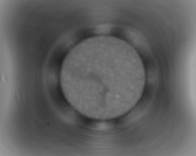 X0000114390370200910231021