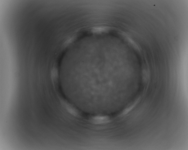 X0000114390375200910231021