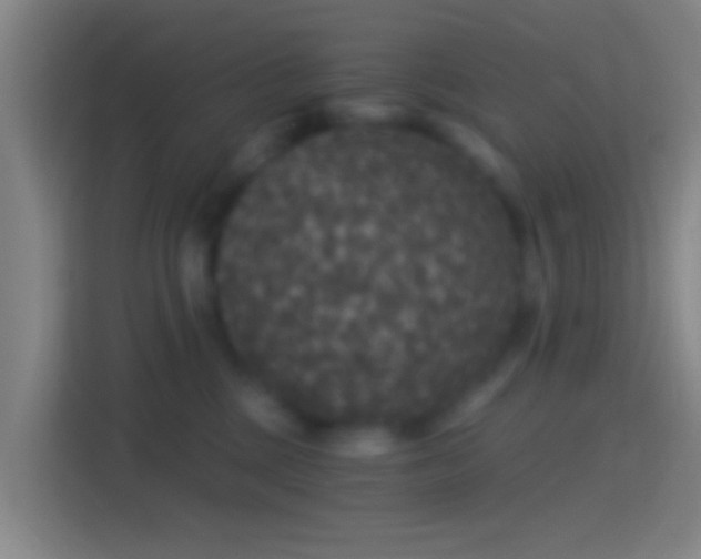 X0000114390377200910231021