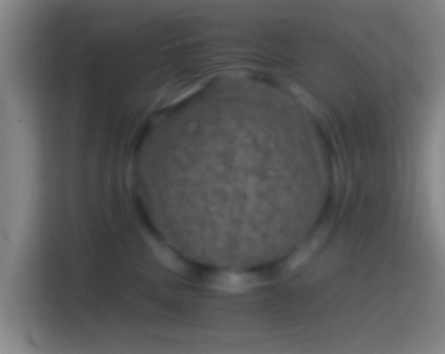 X0000114390379200910231021