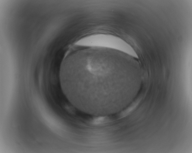 X0000114390382200910231021