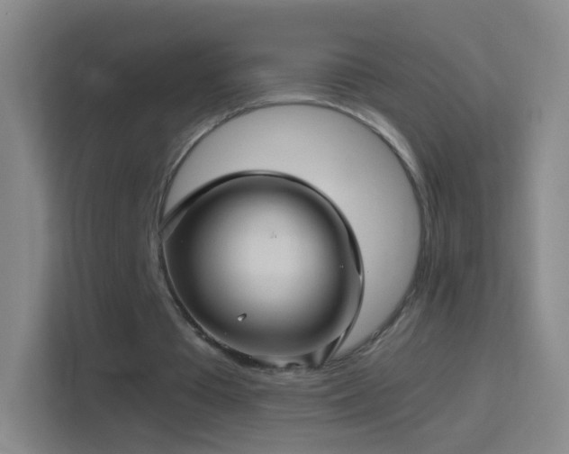 X0000114390385200910231021