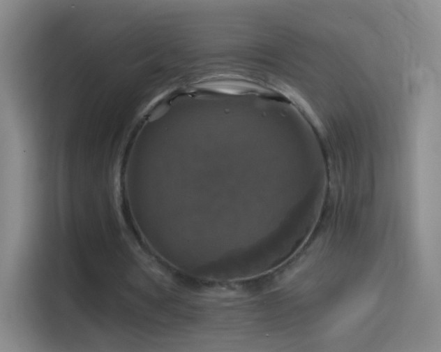 X0000114390386200910231021