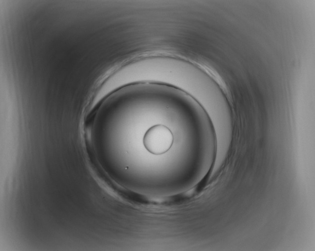 X0000114390389200910231021