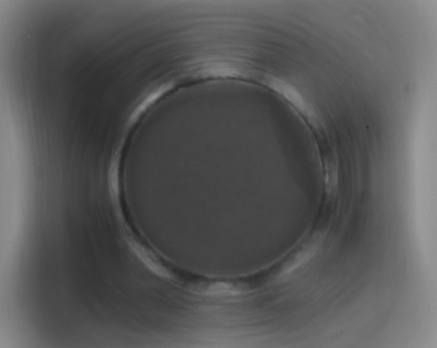X0000114390390200910231021