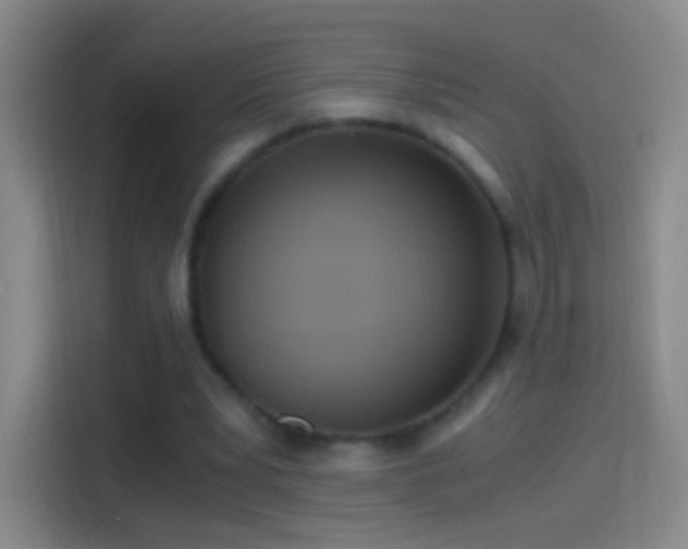 X0000114390391200910231021