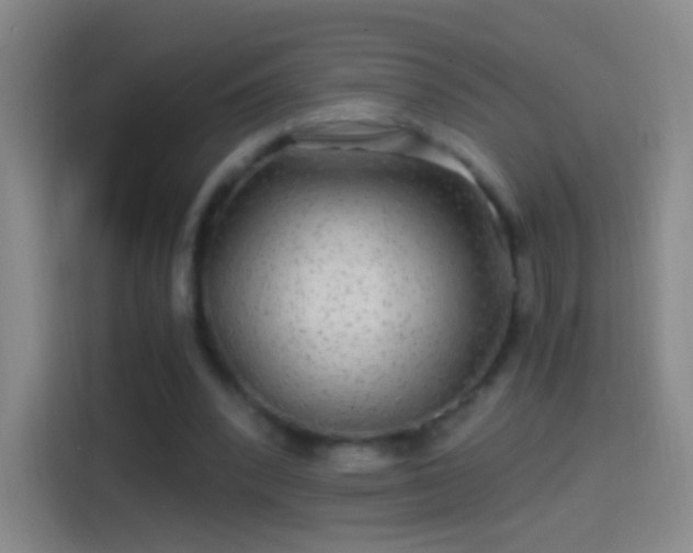 X0000114390392200910231021