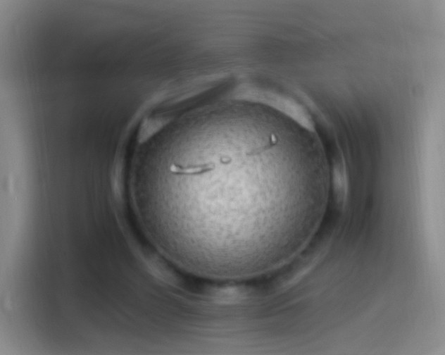 X0000114390396200910231021