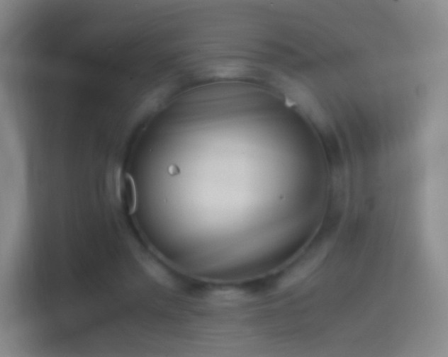 X0000114390397200910231021