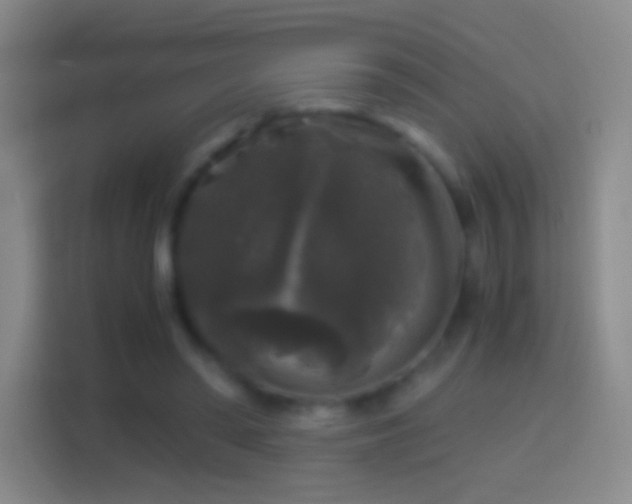 X0000114390398200910231021