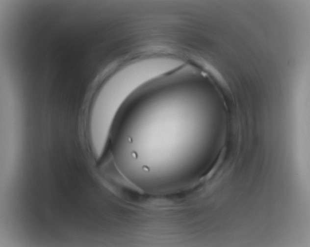 X0000114390399200910231021